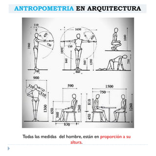 Antropometria arquitectónica | PDF