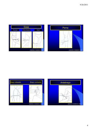 9/26/2011




                  Coxa                                        Perna
   Proximal      Meso-femural               Distal




                                (MARINS e GIANNICHI, 2003)            (MARINS e GIANNICHI, 2003)




Braço relaxado                  Braço contraído              Antebraço




                           (MARINS e GIANNICHI, 2003)              (MARINS e GIANNICHI, 2003)




                                                                                                   4
 