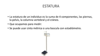 ESTATURA
• La estatura de un individuo es la suma de 4 componentes, las piernas,
la pelvis, la columna vertebral y el cráneo.
• Que ocupamos para medir:
• Se puede usar cinta métrica o una bascula con estadiómetro.
 
