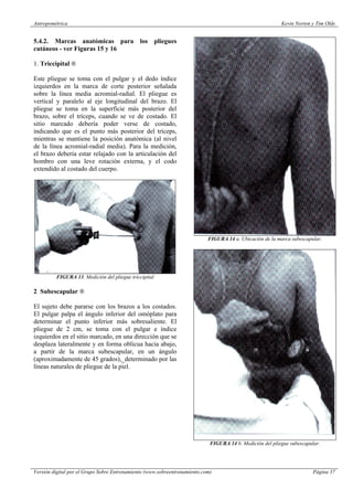 Tim Olds Antropometrica kevin norton tim olds | PDF