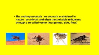 • The anthropozoonosis are zoonosis maintained in
nature by animals and often transmissible to humans
through a so-called vector (mosquitoes, ticks, fleas)
 