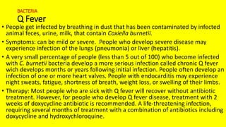 BACTERIA
Q Fever
• People get infected by breathing in dust that has been contaminated by infected
animal feces, urine, milk, that contain Coxiella burnetii.
• Symptoms: can be mild or severe. People who develop severe disease may
experience infection of the lungs (pneumonia) or liver (hepatitis).
• A very small percentage of people (less than 5 out of 100) who become infected
with C. burnetii bacteria develop a more serious infection called chronic Q fever
wich develops months or years following initial infection. People often develop an
infection of one or more heart valves. People with endocarditis may experience
night sweats, fatigue, shortness of breath, weight loss, or swelling of their limbs.
• Therapy: Most people who are sick with Q fever will recover without antibiotic
treatment. However, for people who develop Q fever disease, treatment with 2
weeks of doxycycline antibiotic is recommended. A life-threatening infection,
requiring several months of treatment with a combination of antibiotics including
doxycycline and hydroxychloroquine.
 