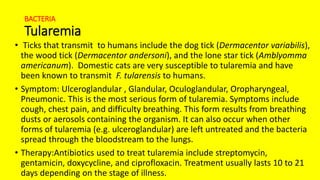 BACTERIA
Tularemia
• Ticks that transmit to humans include the dog tick (Dermacentor variabilis),
the wood tick (Dermacentor andersoni), and the lone star tick (Amblyomma
americanum). Domestic cats are very susceptible to tularemia and have
been known to transmit F. tularensis to humans.
• Symptom: Ulceroglandular , Glandular, Oculoglandular, Oropharyngeal,
Pneumonic. This is the most serious form of tularemia. Symptoms include
cough, chest pain, and difficulty breathing. This form results from breathing
dusts or aerosols containing the organism. It can also occur when other
forms of tularemia (e.g. ulceroglandular) are left untreated and the bacteria
spread through the bloodstream to the lungs.
• Therapy:Antibiotics used to treat tularemia include streptomycin,
gentamicin, doxycycline, and ciprofloxacin. Treatment usually lasts 10 to 21
days depending on the stage of illness.
 