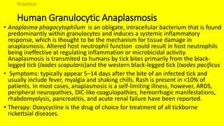 Rickettsia
Human Granulocytic Anaplasmosis
• Anaplasma phagocytophilum is an obligate, intracellular bacterium that is found
predominantly within granulocytes and induces a systemic inflammatory
response, which is thought to be the mechanism for tissue damage in
anaplasmosis. Altered host neutrophil function could result in host neutrophils
being ineffective at regulating inflammation or microbicidal activity.
Anaplasmosis is transmited to humans by tick bites primarily from the black-
legged tick (Ixodes scapularis)and the western black-legged tick (Ixodes pacificus
• Symptoms: typically appear 5–14 days after the bite of an infected tick and
usually include fever, myalgia and shaking chills. Rash is present in <10% of
patients. In most cases, anaplasmosis is a self-limiting illness, however, ARDS,
peripheral neuropathies, DIC-like coagulopathies, hemorrhagic manifestations,
rhabdomyolysis, pancreatitis, and acute renal failure have been reported.
• Therapy: Doxycycline is the drug of choice for treatment of all tickborne
rickettsial diseases.
 
