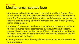RICKETTSIA
Mediterranean spotted fever
• Also known as Boutonneuse fever, is present in southern Europe, Asia
Africa, India. It’s the most widespread rickettsiosis in the Mediterranean
area. The R. conori i is mainly transmitted by Rhipicephalus sanguineus, a
habitual parasite of dogs and other domestic and wild animals (rabbits,
hares, sheep, goats).
• Symptom: The onset of the disease is sudden, with symptoms similar to
those of influenza (fever accompanied by chills, asthenia, headache,
general illness). From the third to the fifth day of incubation the disease
manifests itself with an exanthem which also affects the soles of the feet
and the palms of the hands.
• Therapy: doxycycline is the drug of first choice. R.conorii is also sensitive
to ciprofloxacin.
 