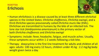 RICKETTSIA
Erlichiosis
• Human ehrlichiosis is a disease caused by at least three different ehrlichial
species in the United States: Ehrlichia chaffeensis, Ehrlichia ewingii, and a
third Ehrlichia species provisionally called Ehrlichia muris-like (EML).
Ehrlichiae are transmitted to humans by the bite of an infected tick. The
lone star tick (Amblyomma americanum) is the primary vector of
both Ehrlichia chaffeensis and Ehrlichia ewingii
• Symptoms: include: fever, headache, fatigue, and muscle aches. Usually,
these symptoms occur within 1-2 weeks following a tick bite.
• Therapy: doxycycline is the first line treatment for adults and children of all
ages: adults: 100 mg every 12 hours, children under 45 kg : 2.2 mg/kg body
weight given twice a day
 