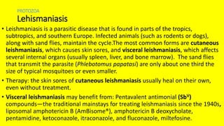 PROTOZOA
Lehismaniasis
• Leishmaniasis is a parasitic disease that is found in parts of the tropics,
subtropics, and southern Europe. Infected animals (such as rodents or dogs),
along with sand flies, maintain the cycle.The most common forms are cutaneous
leishmaniasis, which causes skin sores, and visceral leishmaniasis, which affects
several internal organs (usually spleen, liver, and bone marrow). The sand flies
that transmit the parasite (Phlebotomus papatasi) are only about one third the
size of typical mosquitoes or even smaller.
• Therapy: the skin sores of cutaneous leishmaniasis usually heal on their own,
even without treatment.
• Visceral leishmaniasis may benefit from: Pentavalent antimonial (SbV)
compounds—the traditional mainstays for treating leishmaniasis since the 1940s,
liposomal amphotericin B (AmBisome®), amphotericin B deoxycholate,
pentamidine, ketoconazole, itraconazole, and fluconazole, miltefosine.
 