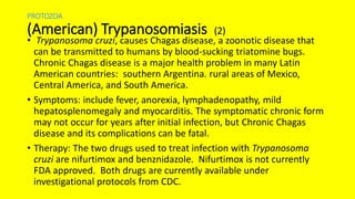 PROTOZOA
(American) Trypanosomiasis (2)
• Trypanosoma cruzi, causes Chagas disease, a zoonotic disease that
can be transmitted to humans by blood-sucking triatomine bugs.
Chronic Chagas disease is a major health problem in many Latin
American countries: southern Argentina. rural areas of Mexico,
Central America, and South America.
• Symptoms: include fever, anorexia, lymphadenopathy, mild
hepatosplenomegaly and myocarditis. The symptomatic chronic form
may not occur for years after initial infection, but Chronic Chagas
disease and its complications can be fatal.
• Therapy: The two drugs used to treat infection with Trypanosoma
cruzi are nifurtimox and benznidazole. Nifurtimox is not currently
FDA approved. Both drugs are currently available under
investigational protocols from CDC.
 