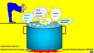 WORMS
AEDES
ZIKA
TICK
MALARIA
Q FEVER
LYME
DISEASE
PLAGUE
CULEX
TOXOPLASMA
BABESIOSIS
Classification criterion:
National Center for Emerging and Zoonotic Infectious Diseases (NCEZID)
 