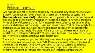 WORMS
Echinococcosis (2)
• Cyst rupture is most frequently caused by trauma and may cause mild to severe
anaphylactic reactions, even death, as a result of the release of cystic fluid.
Alveolar echinococcosis (AE) is characterized by parasitic tumors in the liver and
may spread to other organs including the lungs and brain. In humans, the larval
forms of E. multilocularis do not fully mature into cysts but cause vesicles that
invade and destroy surrounding tissues and cause discomfort or pain, weight loss,
and malaise. AE can cause liver failure and death because of the spread into
nearby tissues and, rarely, the brain. AE is a dangerous disease resulting in a
mortality rate between 50% and 75%, especially because most affected people
live in remote locations and have poor health care.
• Therapy: In the past, surgery was the only treatment for cystic echinococcal cysts.
Chemotherapy, cyst puncture, and PAIR (Percutaneous Aspiration, Injection of
chemicals and Reaspiration) have been used to replace surgery as effective
treatments for cystic echinococcosis. However, surgery remains the most
effective treatment to remove the cyst and can lead to a complete cure.
 