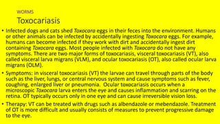 WORMS
Toxocariasis
• Infected dogs and cats shed Toxocara eggs in their feces into the environment. Humans
or other animals can be infected by accidentally ingesting Toxocara eggs. For example,
humans can become infected if they work with dirt and accidentally ingest dirt
containing Toxocara eggs. Most people infected with Toxocara do not have any
symptoms. There are two major forms of toxocariasis, visceral toxocariasis (VT), also
called visceral larva migrans (VLM), and ocular toxocariasis (OT), also called ocular larva
migrans (OLM).
• Symptoms: in visceral toxocariasis (VT) the larvae can travel through parts of the body
such as the liver, lungs, or central nervous system and cause symptoms such as fever,
coughing, enlarged liver or pneumonia. Ocular toxocariasis occurs when a
microscopic Toxocara larva enters the eye and causes inflammation and scarring on the
retina. OT typically occurs only in one eye and can cause irreversible vision loss.
• Therapy: VT can be treated with drugs such as albendazole or mebendazole. Treatment
of OT is more difficult and usually consists of measures to prevent progressive damage
to the eye.
 