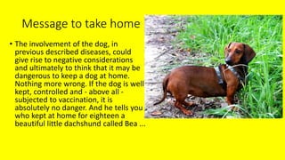 Message to take home
• The involvement of the dog, in
previous described diseases, could
give rise to negative considerations
and ultimately to think that it may be
dangerous to keep a dog at home.
Nothing more wrong. If the dog is well
kept, controlled and - above all -
subjected to vaccination, it is
absolutely no danger. And he tells you
who kept at home for eighteen a
beautiful little dachshund called Bea ...
 