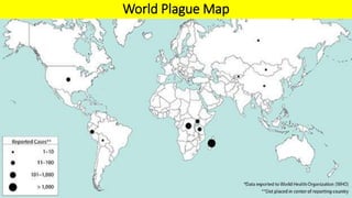 World Plague Map
 