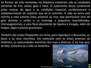 As formas de vida existentes na Antártica evoluíram sob as condições
extremas de frio, vento, gelo e neve. O isolamento desse continente
pelas massas de água e as condições especiais condicionaram o
estabelecimento de espécies que só aí ocorrem. A vida na terra está
restrita a uma estreita faixa, próxima ao mar, que permanece livre de
gelo durante o verão, e se restringe a pequenos invertebrados,
microorganismos, e uma flora abundante de liquens e musgos, além de
fungos, algas e poucas gramíneas.

Também são visitas freqüentes em terra, para reproduzir e descansar, as
focas e as aves marinhas. Em contraste com as áreas emersas da
Antártica, as comunidades marinhas são ricas e diversas. É no mar que,
de fato, encontra-se a vida na Antártica.




                               Apresentação elaborada pela Professora FERNANDA LOPES, disciplina de Geografia
 