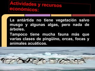 Actividades y recursos
económicos:
La antártida no tiene vegetación salvo
musgo y algunas algas, pero nada de
árboles.
Tampoco tiene mucha fauna más que
varias clases de pingüino, orcas, focas y
animales acuáticos.
 