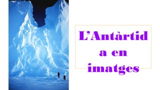 L’Antàrtida
en imatges
 