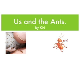 Us and the Ants.
      By Kiri
 