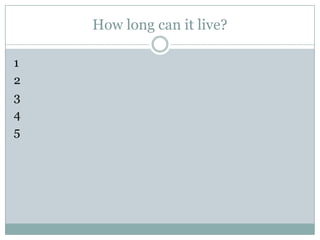 How long can it live?
1
2
3
4
5
 