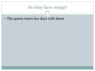 Do they have wings?
 The queen starts her days with them
 