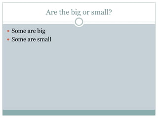 Are the big or small?
 Some are big
 Some are small
 