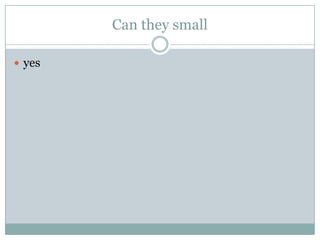 Can they small
 yes
 