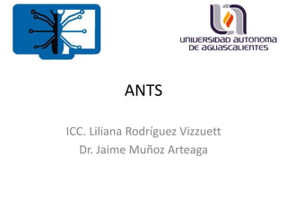ANTS 
ICC. Liliana Rodríguez Vizzuett 
Dr. Jaime Muñoz Arteaga 
 
