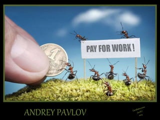 ANDREY PAVLOV 
 