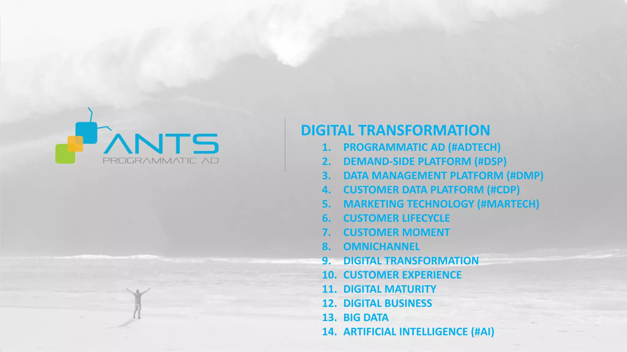 DIGITAL TRANSFORMATION
1. PROGRAMMATIC AD (#ADTECH)
2. DEMAND-SIDE PLATFORM (#DSP)
3. DATA MANAGEMENT PLATFORM (#DMP)
4. CUSTOMER DATA PLATFORM (#CDP)
5. MARKETING TECHNOLOGY (#MARTECH)
6. CUSTOMER LIFECYCLE
7. CUSTOMER MOMENT
8. OMNICHANNEL
9. DIGITAL TRANSFORMATION
10. CUSTOMER EXPERIENCE
11. DIGITAL MATURITY
12. DIGITAL BUSINESS
13. BIG DATA
14. ARTIFICIAL INTELLIGENCE (#AI)
 