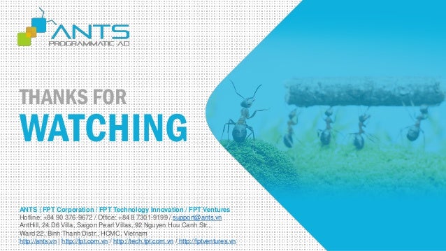 Ants | The single biggest reason why startups succeed - bill gross slideshare