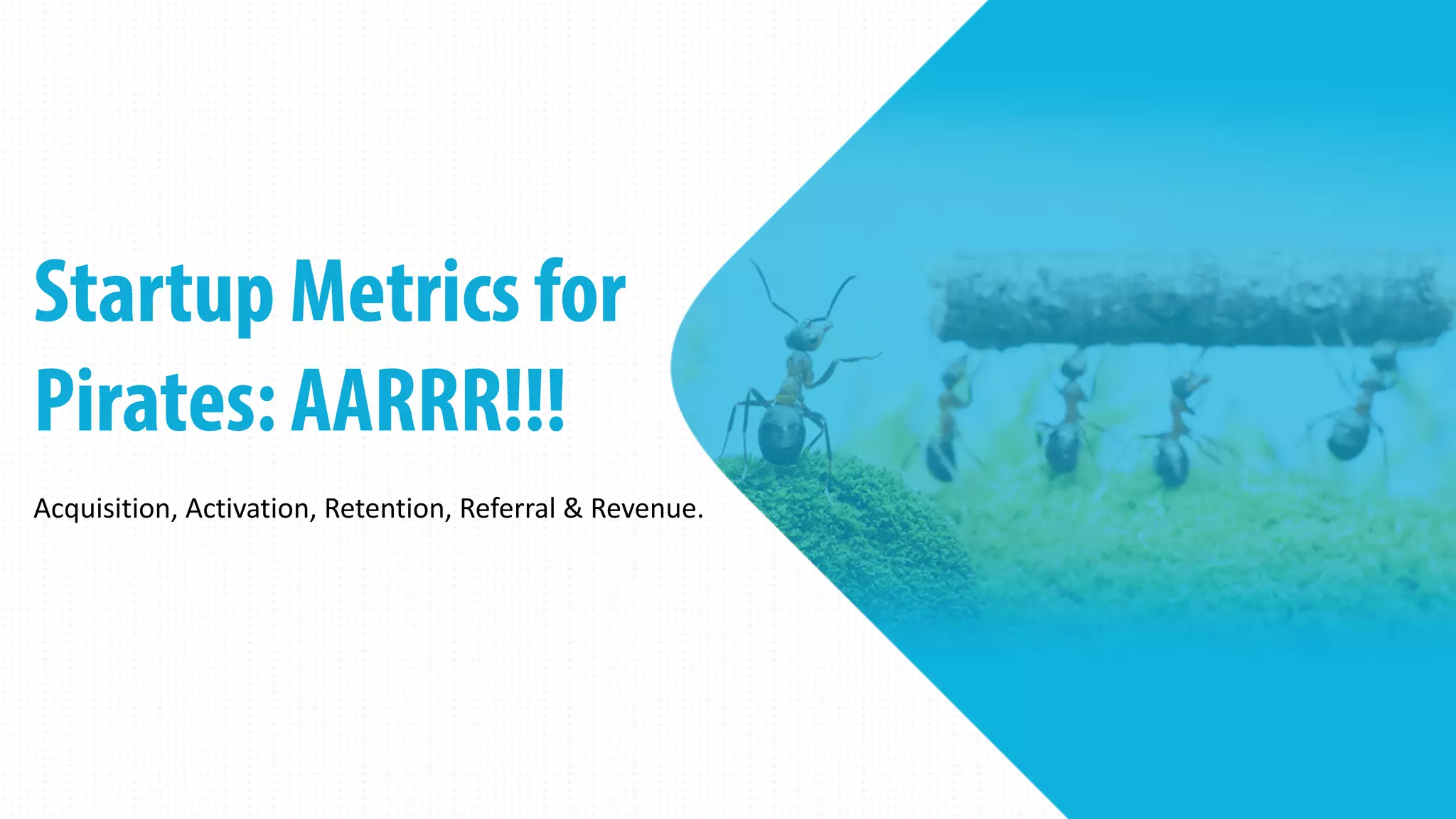 Acquisition, Activation, Retention, Referral & Revenue.
 
