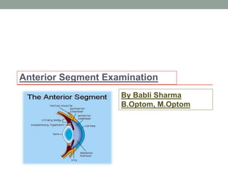 Anterior Segment Examination
By Babli Sharma
B.Optom, M.Optom
 