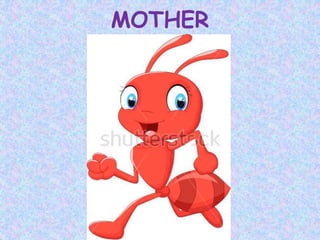 MOTHER
 