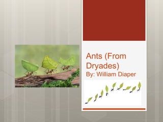 Ants (From
Dryades)
By: William Diaper
 