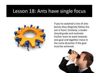 Ants Management - Management Lessons from Ants | PPTX