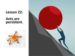 Ants Management - Management Lessons from Ants | PPTX