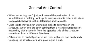 Ants One Node and Two Node (3).pdf