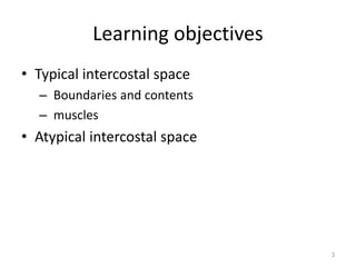 Learning objectives 
• Typical intercostal space 
– Boundaries and contents 
– muscles 
• Atypical intercostal space 
3 
 