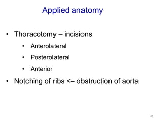 Applied anatomy 
• Thoracotomy – incisions 
• Anterolateral 
• Posterolateral 
• Anterior 
• Notching of ribs <– obstruction of aorta 
47 
 
