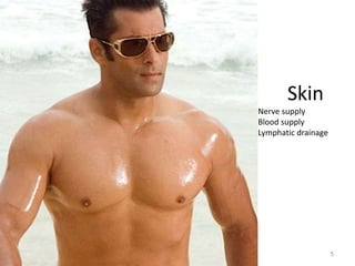 5 
Skin 
Nerve supply 
Blood supply 
Lymphatic drainage 
 