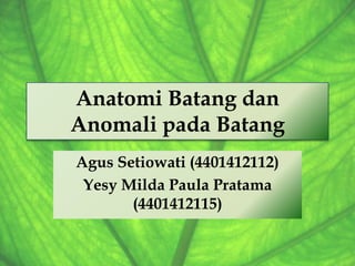Anatomi Batang dan
Anomali pada Batang
Agus Setiowati (4401412112)
Yesy Milda Paula Pratama
(4401412115)

 