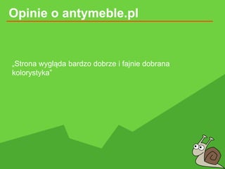 Opinie o antymeble.pl
„Strona wygląda bardzo dobrze i fajnie dobrana
kolorystyka”
 