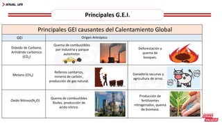 Principales G.E.I.
Principales GEI causantes del Calentamiento Global
GEI Origen Antrópico
Quema de combustibles
por industria y parque
automotor.
Dióxido de Carbono,
Anhídrido carbónico
(CO2)
Deforestación y
quema de
bosques.
Metano (CH4)
Rellenos sanitarios,
minería de carbón ,
producción de gas natural.
Ganadería vacunas y
agricultura de arroz.
Oxido Nitroso(N2O)
Quema de combustibles
fósiles, producción de
ácido nítrico.
Producción de
fertilizantes
nitrogenados, quema
de biomasa.
 