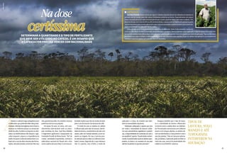 AAdubarocafezaléregraobrigatóriapara
ocafeicultorquepretendeobteraltaprodu-
tividade,colheitahomogênea,bonsfrutose
alcançar os melhores preços na comerciali-
zaçãodasafra.Épráticacorriqueiranaativi-
dade e as distribuidoras não deixam o agri-
cultor esquecer a época e a importância da
tarefa.Háquemconfundaadubarbemoca-
fezalcomousodealtosvolumesdasformu-
lações, até pela pressão comercial. Mas isso
não garanteboasafra.Aocontrário:excesso
podelevardolucroaoprejuízo.
Há quase 50 anos no ramo, com reco-
nhecimento internacional entre os princi-
pais cientistas da área, José Braz Matiello
é engenheiro agrônomo e pesquisador da
FundaçãoProcafé,deMinasGerais.“Pai”de
muitas variedades importantes, conhece a
cafeicultura nacional do Paraná até o Acre
comoapalmadesuasmãos.Ecomessaau-
toridade explica que não há receita de bolo
paraousodoinsumonaslavourasdecafé.
“O modo de usar os adubos no cafezal
é influenciado pelo tipo da lavoura, declivi-
dadedoterreno,característicasdesoloedo
adubo, além do manejo adotado, se em se-
queiro ou irrigado. Por isso, é preciso pres-
tar atenção para se obter os melhores resul-
tados”,ensina.Segundoele,oqueinteressa
não é o volume, mas a fonte, o modo de
Tipos de
lavoura, solo,
manejo e até
topografia
interferem na
adubação
aplicação e a dose, de maneira que aten-
damàsnecessidadesdaplanta.
“Adubação adequada é aquela que leva
em conta a necessidade da lavoura confor-
me suas características vegetativas e produti-
vas, a disponibilidade de nutrientes do solo e
seuequilíbrio”,aponta.“Apartirdesteconheci-
mento,épossívelsaberquaisosadubosapro-
priados, as doses e as maneiras de uso para
atenderàsplantasnoqueelasprecisam.”
Assegura também que o tipo de lavou-
ra e a declividade do terreno influenciam
na forma como o adubo deve ser distribuí-
do.Porexemplo:naslavourascomcafeeiros
jovens e em renque, abertas, os adubos de-
vemserdistribuídosomaispróximoesoba
saia das plantas. “Mas em lavouras adensa-
das,jáadultas,aaplicaçãopodeserfeitano
meio das ruas, pois já há proximidade dos
cafeeirosnaentrelinha”,observa.
Nadose
certíssimaDeterminar a quantidade e o tipo de fertilizante
que deve ser utilizado no cafezal é um desafio que
o cafeicultor precisa vencer com racionalidade
l ESPECIAIS
JoséBrazMatiellodestacaaindaquealgunscuidadosespeciaisdevemseradotadosemplantasno
primeiro ano de campo, para não colocar fertilizantes próximos ao tronco. Especialmente com pouca
chuva,issopodeprovocaraaltaconcentraçãodesaise,assim,queimarraízeseatématarocafeeiro.“Em
áreasdeclivosas,commaisde20%ou30%dedeclividade,oadubopodeserdistribuídoapenasnaparte
superiordaslinhas,procurandoaplicarsobasaia.Achuvavaiarrastaroadubotambémparaapartebai-
xaporescorrimentoouinfiltraçãolateral”,indica.
Otipodesolodeterminaaformadeparcelamentodaadubação.Solosmuitoarenosos,menosco-
munsnacafeicultura,facilitamalixiviaçãodosfertilizantese,portanto,deve-separcelarmaisaaplicação.Otipodeadubo(nutrienteefon-
te)éumdospontosmaiscríticosobservadosnocampo,pontoondeocorremmaiserrosquantoaomododeaplicação.“Aquisedevesem-
prebuscarparacadacondiçãoomelhoraproveitamentodosnutrientespelasplantas,jáqueumadubomalaplicadoéuminvestimento
malfeito.Eissolevaagastarsemodevidoretorno”,aconselha.
SílvioÁvila
8180
 