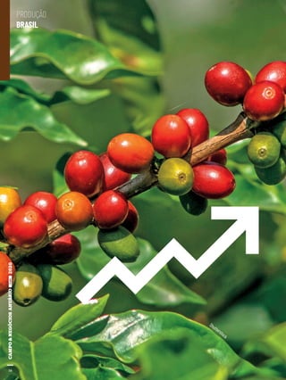 1616
PRODUÇÃO
BRASIL
Shutterstock
 