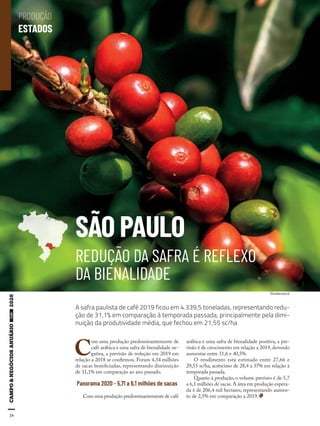 24
C
om uma produção predominantemente de
café arábica e uma safra de bienalidade ne-
gativa, a previsão de redução em 2019 em
relação a 2018 se confirmou. Foram 4,34 milhões
de sacas beneficiadas, representando diminuição
de 31,1% em comparação ao ano passado.
Panorama 2020 - 5,71 a 6,1 milhões de sacas
Com uma produção predominantemente de café
arábica e uma safra de bienalidade positiva, a pre-
visão é de crescimento em relação a 2019, devendo
aumentar entre 31,6 e 40,5%.
O rendimento está estimado entre 27,66 e
29,53 sc/ha, acréscimo de 28,4 a 37% em relação à
temporada passada.
Quanto à produção, o volume previsto é de 5,7
a 6,1 milhões de sacas.A área em produção espera-
da é de 206,4 mil hectares, representando aumen-
to de 2,5% em comparação a 2019.
Shutterstock
A safra paulista de café 2019 ficou em 4.339,5 toneladas, representando redu-
ção de 31,1% em comparação à temporada passada, principalmente pela dimi-
nuição da produtividade média, que fechou em 21,55 sc/ha
REDUÇÃO DA SAFRA É REFLEXO
DA BIENALIDADE
SÃO PAULO
PRODUÇÃO
ESTADOS
 