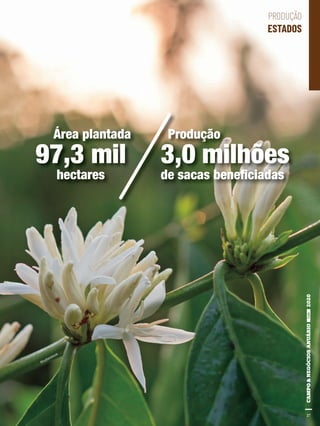 27
Shutterstock
97,3 mil
hectares
Área plantada
3,0 milhões
de sacas beneﬁciadas
Produção
27
PRODUÇÃO
ESTADOS
 