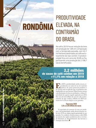 28
RONDÔNIA
PRODUTIVIDADE
ELEVADA, NA
CONTRAMÃO
DO BRASIL
E
m 2019 a produtividade média cresceu, es-
pecialmente em razão do uso de materiais
genéticos de maior potencial produtivo e
do manejo mais tecnificado que os produtores têm
implantado em suas lavouras.Dessa forma,mesmo
com diminuição da área em produção,o volume fi-
nal obtido foi superior àquele registrado em 2018.
São cerca de 2,2 milhões de sacas de café, exclusi-
vamente do tipo conilon, colhidas em 2019 (au-
mento de 11,1% em relação ao ano passado).
Panorama 2020
2,34 a 2,39 milhões de sacas
A expectativa de aumento da área em produ-
ção e da produtividade média deverá alcançar en-
tre 6,6 e 8,7% em relação àquela apresentada no ano
passado. As condições climáticas para a safra 2020,
na maioria das regiões produtoras, têm se mostra-
do favoráveis ao desenvolvimento das lavouras e
formação dos frutos.
Na safra 2019 houve redução da área
em produção de 1,8% em comparação
com a temporada passada, com 62,7
mil hectares destinados ao café exclu-
sivamente do tipo conilon. A produti-
vidade ficou em cerca de 35,05 sc/ha,
perfazendo uma produção de 2.198,7
sacas beneficiadas
Shutterstock
2,2 milhões
de sacas de café conilon em 2019
+11,1% em relação a 2018
28
PRODUÇÃO
ESTADOS
 