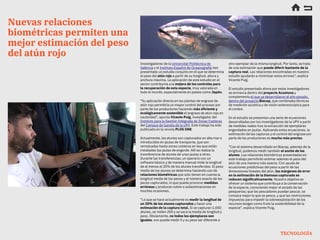 Investigadores de la Universitat Politècnica de
València y el Instituto Español de Oceanografía han
presentado un estudio ...