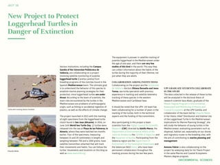 Eduardo Belda
Turtle with tracking device installed
New Project to Protect
Loggerhead Turtles in
Danger of Extinction
Various institutions, including the Campus
Gandia of the Universitat Politècnica de
València, are collaborating on a project
involving satellite monitoring of juvenile
loggerhead turtle (Caretta caretta) from
breeding programs of the clutches found in the
Spanish Mediterranean basin. The ultimate goal
is to understand the behavior of this species to
establish marine planning strategies for their
protection, since loggerhead turtles are under
threat. According to the team of scientists, the
main risks encountered by the turtles in the
Mediterranean are problems of anthropogenic
origin, such as fishing or accidental ingestion of
plastics, as well as the effects of climate change.
The project launched in 2015 with the marking
of eight specimens from the loggerhead turtle
clutch found in San Juan (Alicante). In 2016, on
June 16th World Sea Turtle Day, 12 turtles were
released into the sea at Playa de las Palmeras, in
Almería, where they were hatched ten months
earlier. Four of the specimens, measuring
between 15 and 20 centimeters in length and
weighing between 700 and a 1000 grams, have
satellite transmitters attached that will track
their movements and habits. You can follow the
turtles’ movements and locations on this blog as
well as www.seaturtle.org.
The equipment is pioneer in satellite tracking of
juvenile loggerhead in the Mediterranean under
the age of one year, and there are very few
studies of this kind in the world. This way they
can collect information about the habits of the
turtles during the majoritiy of their lifetime, not
just when they are adults.
COLLABORATION AMONG INSTITUTIONS
Collaborating on the project are the Universitat
de València doctors Ohiana Revuelta and Jesus
Tomas, sea turtle specialists with previous
experience in marking and satellite telemetry
tracking of these species in the western
Mediterranean and Caribbean Seas.
It should be noted that the UPV- UV team has
been collaborating for a number of years in the
marking of the turtles, both in the technical
aspects and the funding of the transmitters.
Also participating in this project a team
scientists from the Higher Council for Scientific
Research (CSIC) directed by Adolfo Marco, the
Department of Environmental Affairs of the
Junta de Andalucía; the CEGMA of Algeciras and
the Aquarium of Seville. Participating from the
Valencia region are the Department of
Environment of the Generalitat Valenciana and
the Valencian NGO Xaloc, who have been
permanent collaborators throughout the
marking process during the last few years.
UPV GRADUATE STUDENTS COLLABORATE
IN THE STUDY
The data collected in the release of these turtles
will be analyzed in the doctoral thesis of
research scientist Sara Abalo, graduate of the
Master Degree Program in Environmental
Assessment and Monitoring of Marine and
Coastal Ecosystems at the UPV Gandia, and
collaborator of the team led by Eduardo Belda.
In her thesis, titled “Distribution and Habitat Use
of the Loggerhead Turtle in the Mediterranean:
Implications for Marine Planning Strategy”, she
will study the behavior of young turtles in the
Mediterranean, evaluating parameters such as
dispersal, habitat use, seasonality on our shores
and migratory routes to the breeding sites, with
the aim of contributing to marine planning and
management.
Antonio Febrer is also collaborating on the
project by analyzing data for his Thesis Project
in the same Marine and Coastal Ecosystems
Masters degree program.
JULY‘16
ENVIRONMENTAL SCIENCES
 