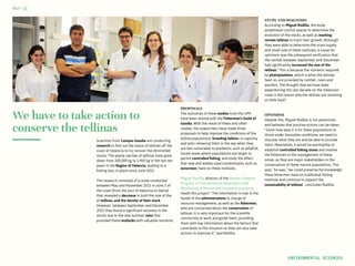 We have to take action to
conserve the tellinas
Scientists from Campus Gandia are conducting
research to find out the status of tellinas off the
coast of Valencia to try recover the diminished
stocks. The yearly catches of tellinas have gone
down from 300,000 kg to 1,900 kg in the last ten
years in the Region of Valencia, leading to a
fishing ban, in place since June 2015.
The research consisted of a study conducted
between May and November 2015 in zone 3 of
the coast (from the port of Valencia to Denia)
that revealed a decrease in both the size of the
of tellinas, and the density of their stock.
However, between September and December
2015 they found a significant recovery in the
stocks due to the late summer rains that
provided these mollusks with valuable nutrients.
PROPOSALS
The outcomes of these studies from the UPV
have been shared with the Fishermen’s Guild of
Gandia. With the result of these and other
studies, the researchers have made three
proposals to help improve the conditions of the
tellina populations: breeding tellinas in captivity
and later releasing them in the sea when they
are less vulnerable to predators, such as jellyfish;
locate areas where populations are larger to
permit controlled fishing; and study the effect
that new and widely used contaminants, such as
sunscreen, have on these mollusks.
Miguel Rodilla, director of the Master’s Degree
Program in Environmental Assessment and
Monitoring of Marine and Coastal Ecosystems,
heads this project: “The information is now in the
hands of the administrations in charge of
resource management, as well as the fishermen,
who are concerned about the conservation of
tellinas. It is very important for the scientific
community to work alongside them, providing
them with key information about the factors that
contribute to this situation so they can also take
actions to improve it,” said Rodilla.
STUDY AND DIAGNOSIS
According to Miguel Rodilla, the study
established control spaces to determine the
evolution of the stocks, as well as marking
certain tellinas to track their growth. Although
they were able to determine the scant supply
and small size of these mollusks, a cause for
optimism was the subsequent verification that
the rainfall between September and December
had significantly increased the size of the
tellinas. “This is because the nutrients required
by phytoplankton, which is what the tellinas
feed on, are provided by rainfall, rivers and
aquifers. The drought that we have been
experiencing this last decade on the Valencian
coast is the reason why the tellinas are receiving
so little food.”
OPTIMISM
Despite this, Miguel Rodilla is not pessimistic
and believes that positive actions can be taken.
“Given how easy it is for these populations to
thrive under favorable conditions, we need to
discover what they are and be able to provide
them. Meanwhile, it would be worthwhile to
establish controlled fishing zones and involve
the fishermen in the management of these
zones, as they are major stakeholders in the
conservation of these marine populations. This
way,” he says, “we could preserve the knowledge
these fishermen have on traditional fishing
methods and continue to support the
sustainability of tellinas”, concludes Rodilla.
MAY‘16
ENVIRONMENTAL SCIENCES
 